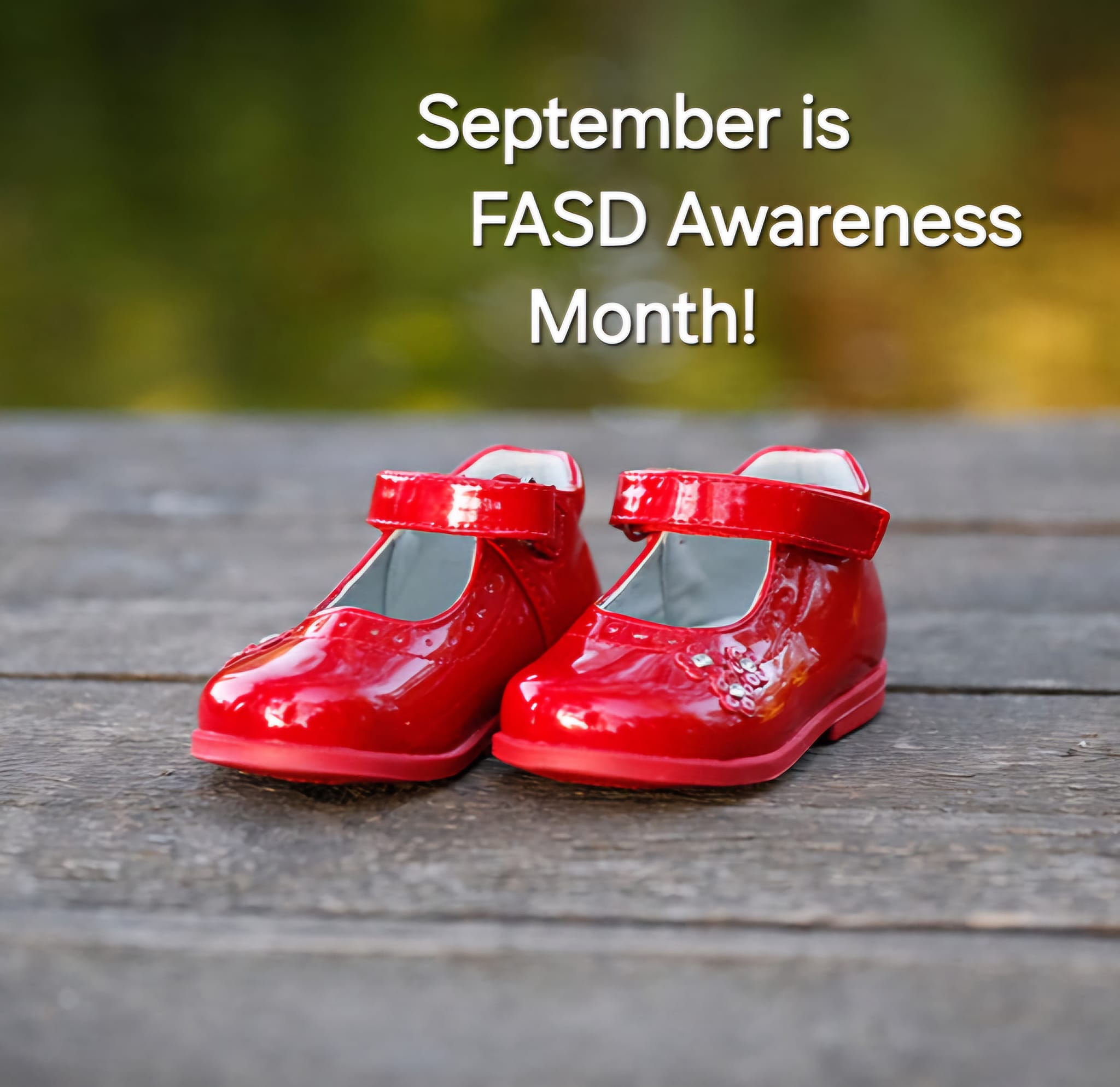 Inter-Agency Meetings